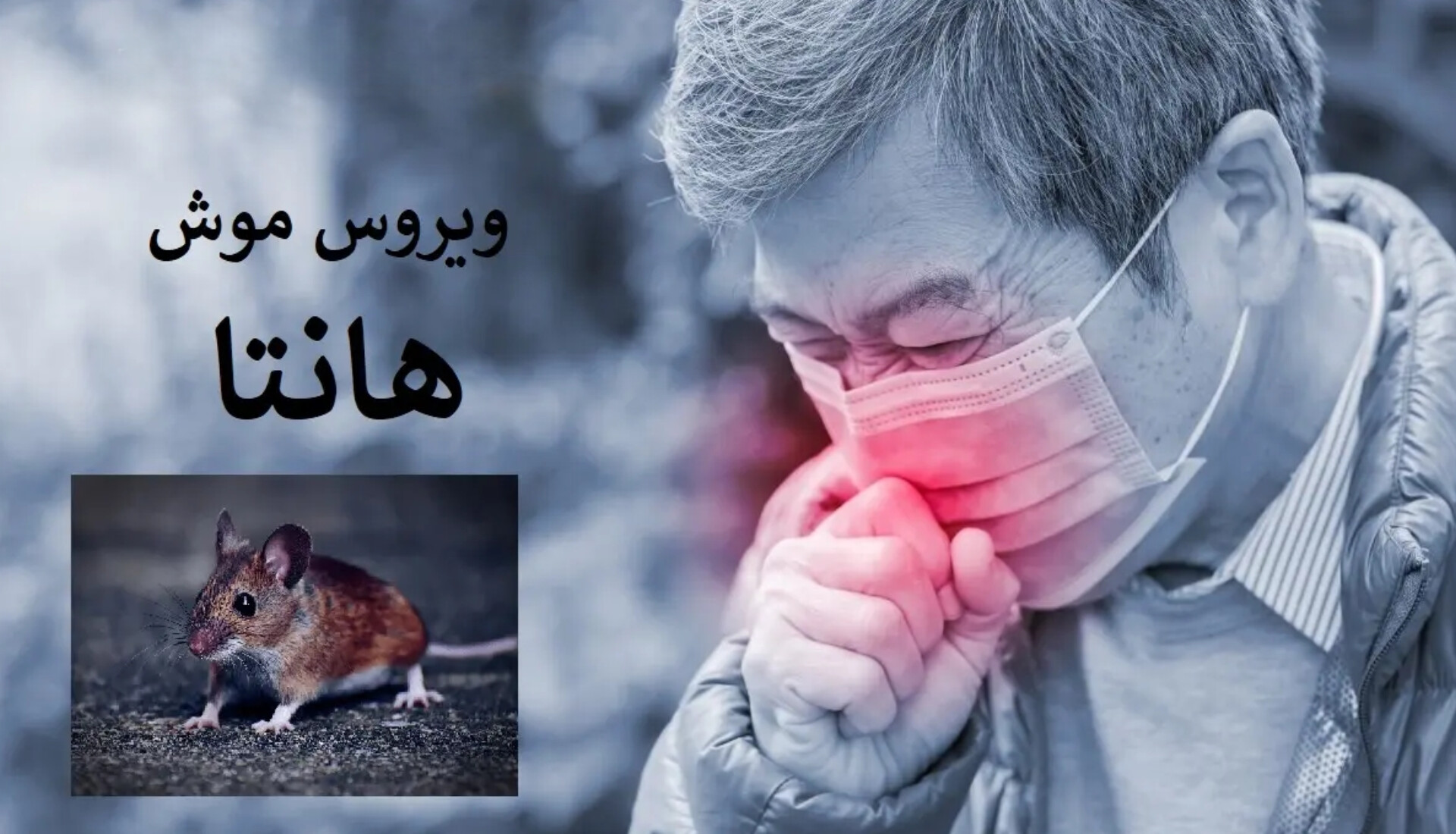 هشدار هانتاویروس؛ مراجعه فوری با علائم شبیه آنفلوآنزا
