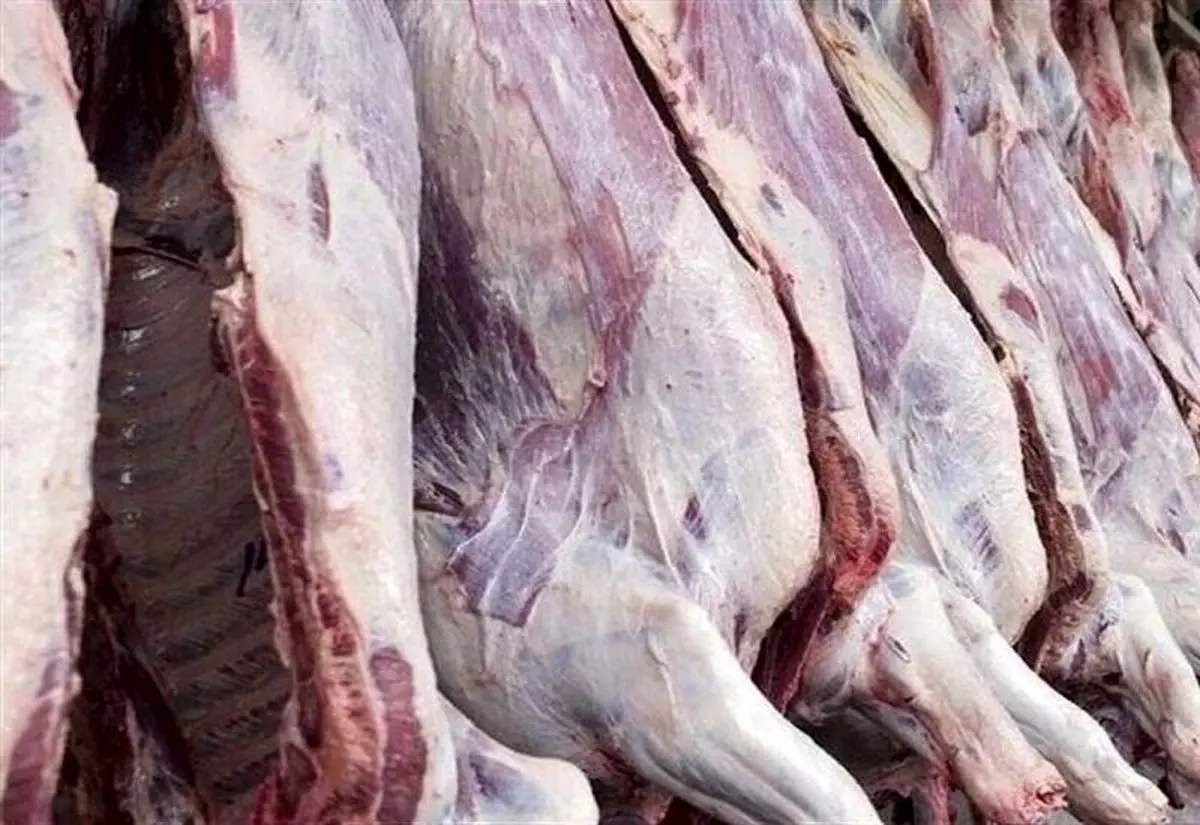 افزایش تولید گوشت با تأمین علوفه ارزان