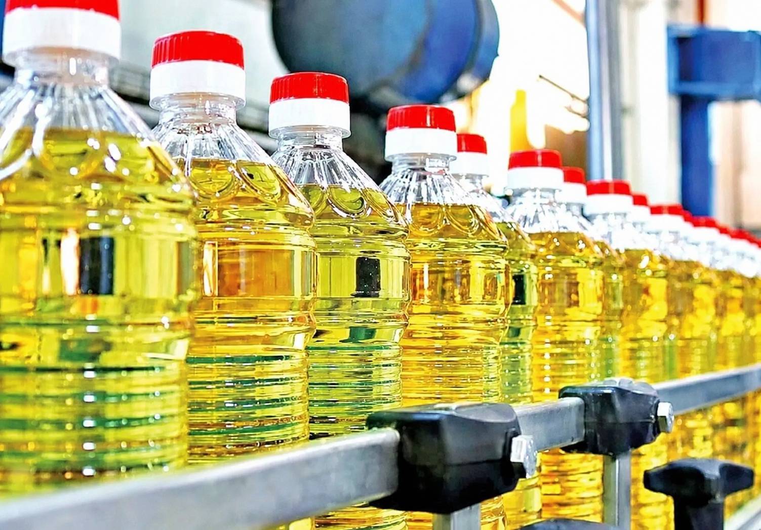 آزادسازی واردات روغن بدون سقف