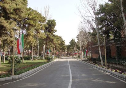 وزارت علوم رشتههای کممتقاضی دانشگاهها را بازنگری میکند